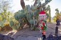 Afternoon view of the cactus garden with christmas decoration of Ethel M Chocolate Factory