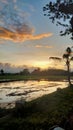 afternoon view in Ponorogo countryside, without editing Royalty Free Stock Photo