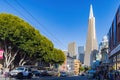 Afternoon view of the Transamerica Pyramid and cityscape