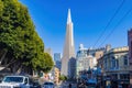 Afternoon view of the Transamerica Pyramid and cityscape