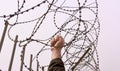 Against the background of barbed wire, a hand clenched into a fist. The concept is a protest to the political regime.