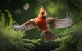 Red male Northern Cardinal in mid-air flight, coming in for a landing, a blurred green tree background, generative AI Royalty Free Stock Photo