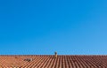 Against backdrop of clear blue sky, a contrasting orange roof made of old tiles Royalty Free Stock Photo