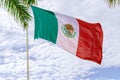 Against the backdrop of palm trees and blue sky Mexico flag. Royalty Free Stock Photo