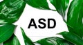 Against the background of green natural leaves, a white card with the text ASD Autism Spectrum Disorder