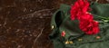 Against the background of the monument, with a place for the inscription immortal regiment, two red carnations on the military Royalty Free Stock Photo