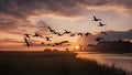 Geese flying in a V-formation across the evening sky, their silhouettes accentuated by the setting sun.