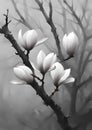 against the misty sky are white flowers on a branch, high detail, dark wood, march, magnolia stems