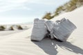 Against sunshine view on pair of white ankle sneakers laying on sand dune. North sea coastal landscape Royalty Free Stock Photo