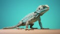 Agama Lizard close-up of a lizard on a table