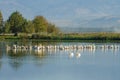 Agamon Hula bird refuge Royalty Free Stock Photo