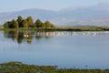 Agamon Hula bird refuge Royalty Free Stock Photo