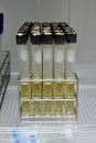 Agar in test tube rack for testing microbiology laboratory