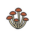 Agaric honey icon. Vector isolated linear color icon contour shape outline. Thin line. Modern glyph design. Mushrooms