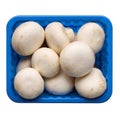 Agaricus bisporus Chompignon mushrooms