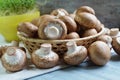 Agaricus bisporus - Fresh raw mushroom champignon wicker baskett Royalty Free Stock Photo