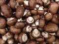 Agaricus Bisporus Mushrooms for Sale. Royalty Free Stock Photo