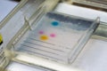 Agarose gel electrophoresis