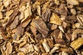 Agarwood chips Royalty Free Stock Photo