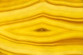 Agat, colored cut in a macro Royalty Free Stock Photo