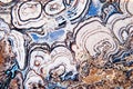 Agate Royalty Free Stock Photo