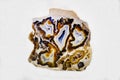 Agate with beautiful brown inclusions on a light background. Royalty Free Stock Photo