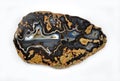 Agate with beautiful shapes Royalty Free Stock Photo