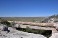 Agate Bridge at Petrified Forest Royalty Free Stock Photo