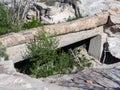 Agate Bridge in Petrified Forest National Park, Arizona Royalty Free Stock Photo