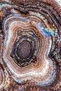 Agate motley close up Royalty Free Stock Photo