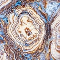 Agate motley close up Royalty Free Stock Photo