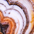 Agate motley close up Royalty Free Stock Photo