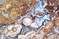 Agate motley close up Royalty Free Stock Photo