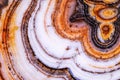 Agate motley close up Royalty Free Stock Photo