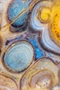 Agate motley close up Royalty Free Stock Photo