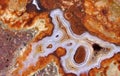 Agate with natural colors, polished Royalty Free Stock Photo