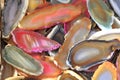 Agates background Royalty Free Stock Photo