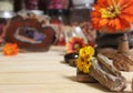 Agatized Coral With Quartz Crystals and Flowers on Meditation Table Royalty Free Stock Photo