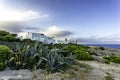 Agava and white villas at coastline in Cala d`Or, Mallorca, Spain Royalty Free Stock Photo