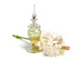 Agave amica, formerly Polianthes tuberosa or tuberose. With perfume bottle. Isolated on white background Royalty Free Stock Photo