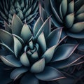 agave cactus, abstract natural pattern background, dark blue toned