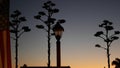 Agave cactus flower, wild west lantern and american flag, western California USA Royalty Free Stock Photo