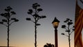 Agave cactus flower, wild west lantern and american flag, western California USA Royalty Free Stock Photo