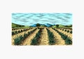 Agave field. Vintage retro landscape. Harvesting for tequila making. Engraved hand drawn sketch. Woodcut style. Vector