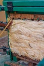 Agave plant fibers in compression, used to build ropes, taken from Tecoh