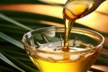 Agave Syrup pouring into a bowl close up. Agave Syrup in a Bowl on a natural agave leaves background. Alternative sugar, natural