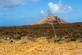 Agaves in the lava field. Lanzarote, Canary Islands, Spain