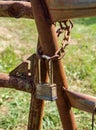 Chained and Padlocked Rusty Gate Royalty Free Stock Photo