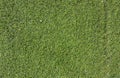 Aged artificial grass background in deep green color Royalty Free Stock Photo