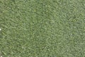 Aged artificial grass background in deep green color Royalty Free Stock Photo